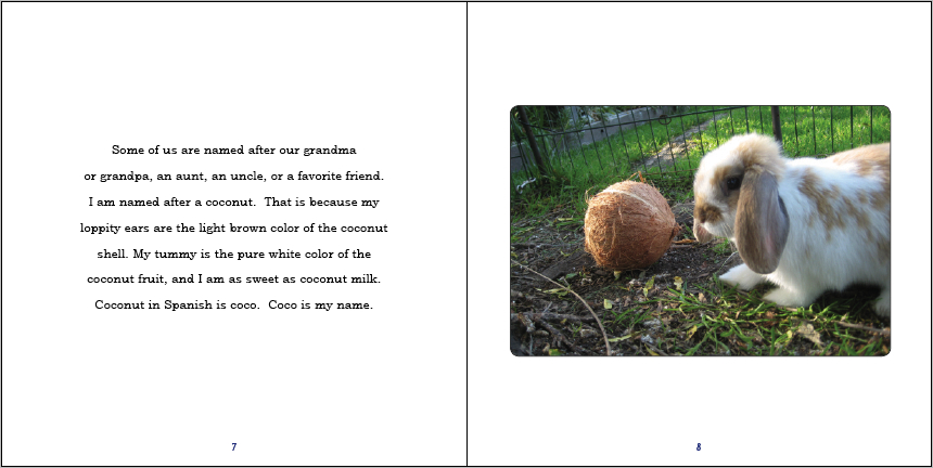 PG 7